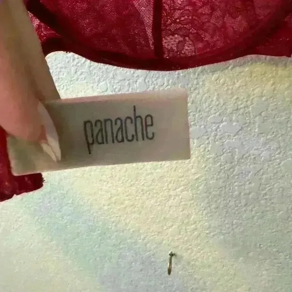 COPY - Panache Red Lace Underwire Plunge Bra | US 38FF
