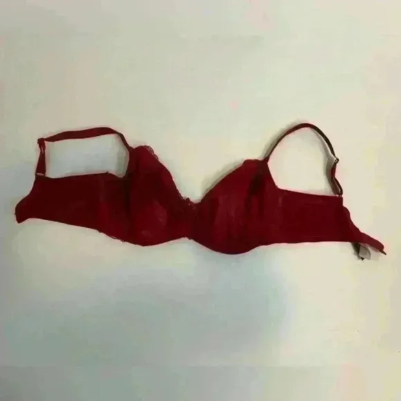 COPY - Panache Red Lace Underwire Plunge Bra | US 38FF