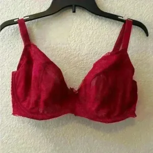 COPY - Panache Red Lace Underwire Plunge Bra | US 38FF