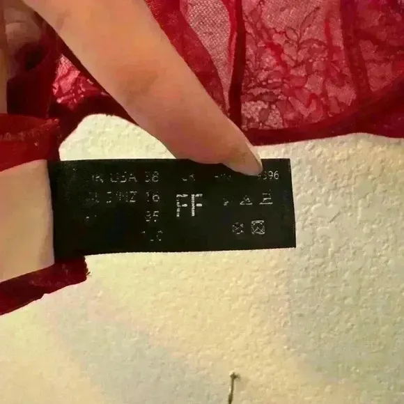 COPY - Panache Red Lace Underwire Plunge Bra | US 38FF