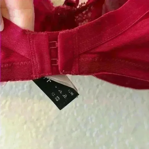 COPY - Panache Red Lace Underwire Plunge Bra | US 38FF