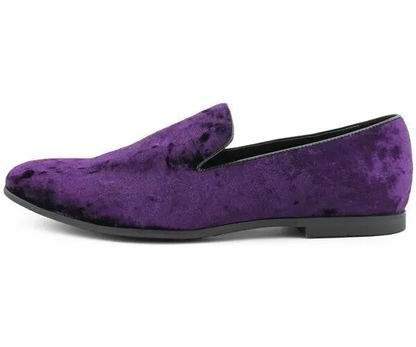 Hauser2 Purple
