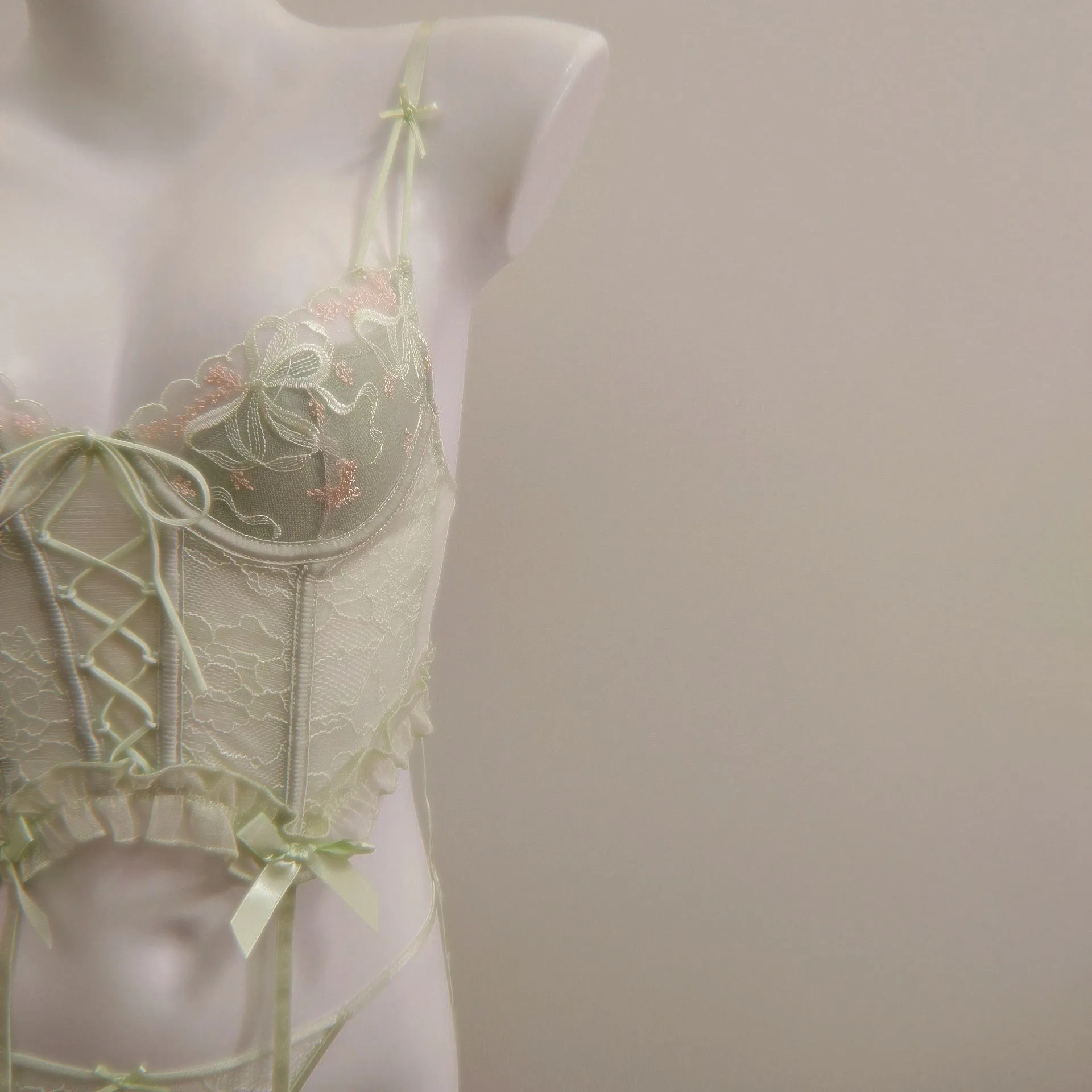 Seraphina Lace Bustier vintage Lingerie Set