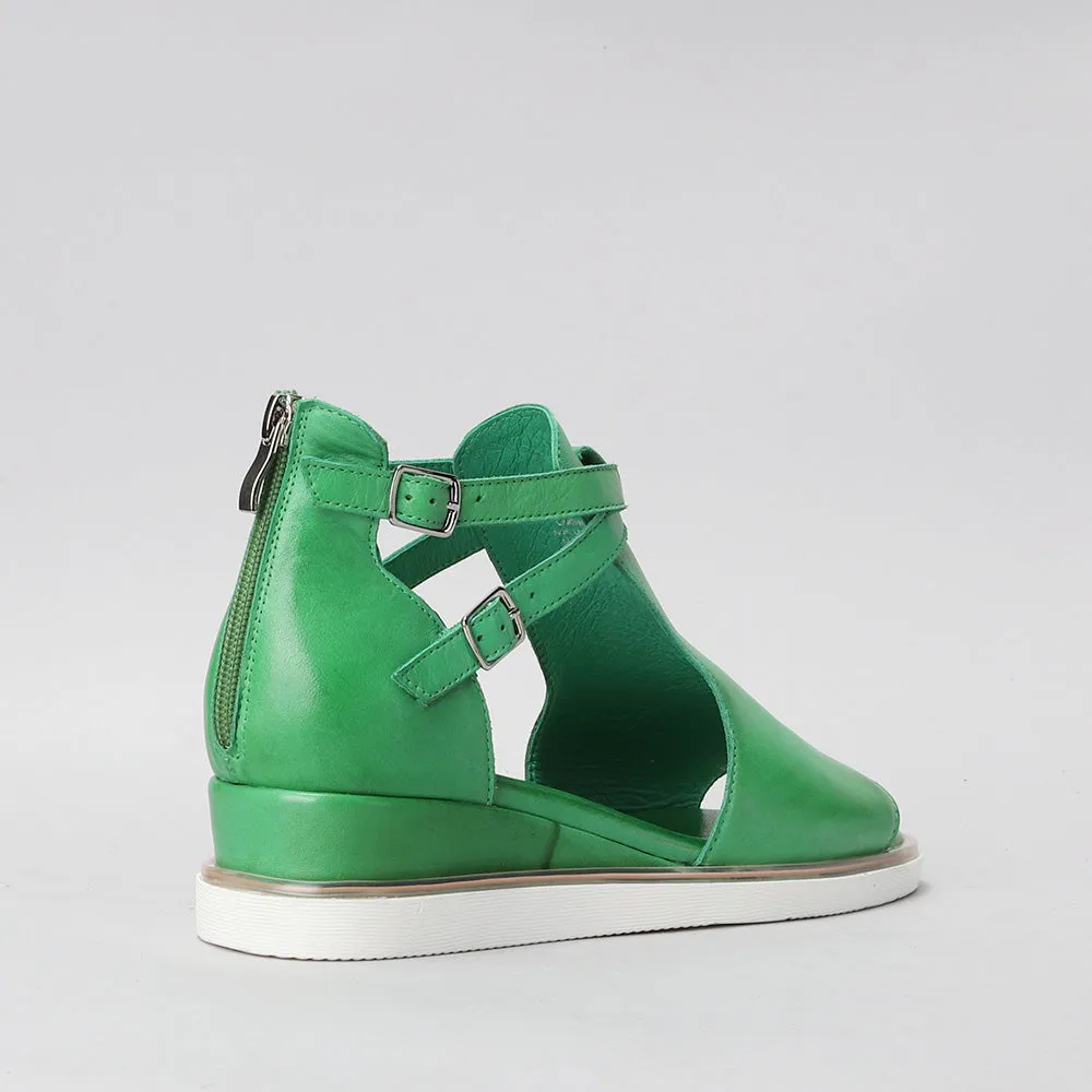 Tod - Fern Green