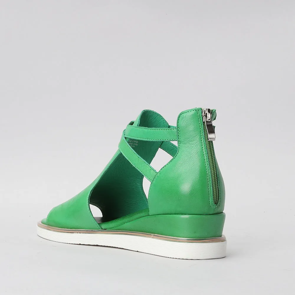 Tod - Fern Green