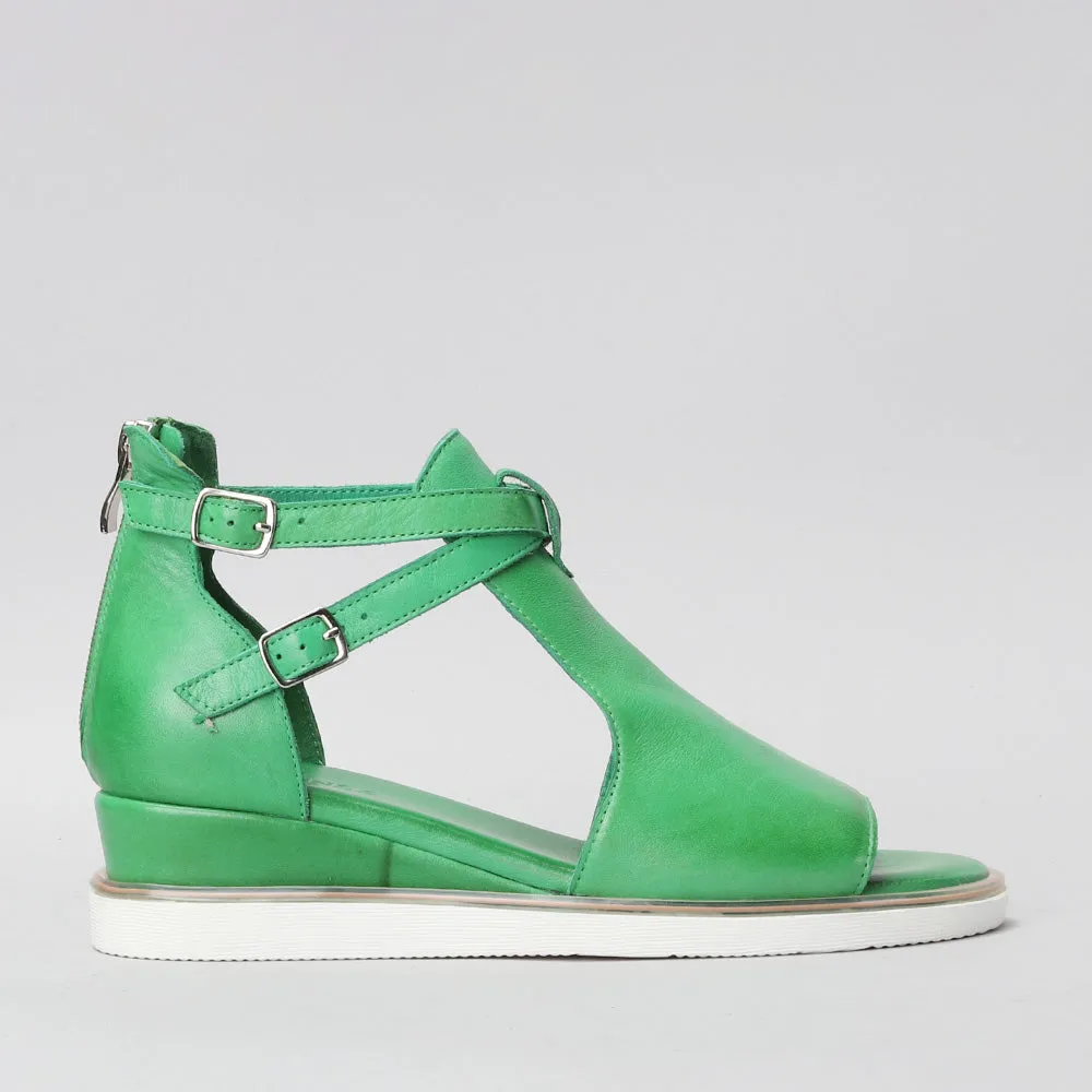 Tod - Fern Green