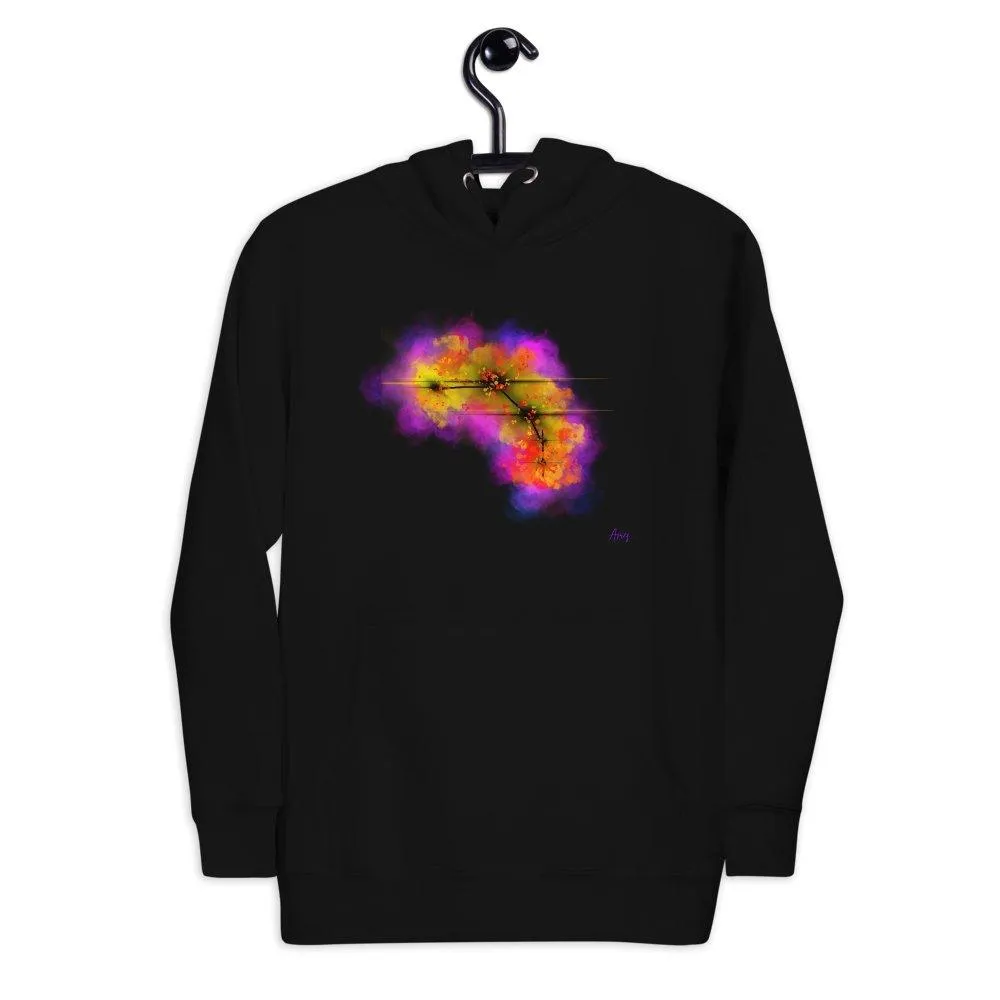 What’s Yo Name, what’s your sign? Hoodie